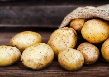 “الزراعة” تمنح 103 شركة موافقات لاستيراد البطاطس