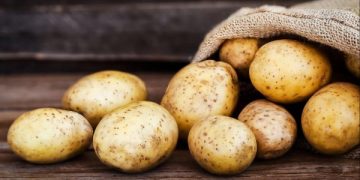 “الزراعة” تمنح 103 شركة موافقات لاستيراد البطاطس