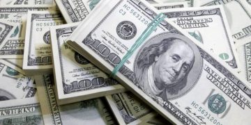 استقرار سعر الدولار أمام الجنيه المصري في تعاملات اليوم بالبنوك المصرية