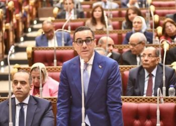 وزير الاستثمار: نحن بصدد الانتهاء من صياغة الخطة الاستراتيجية الاستثمارية للدولة