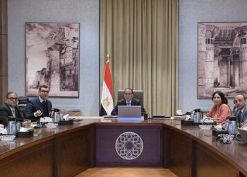 الحكومة: 5055 وحدة سكنية سيتم طرحها للمصريين بالخارج ضمن مبادرة “بيتك في مصر”