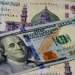 الدولار يسجل مستوى قياسياً جديداً أمام الجنيه المصري ليصل إلى هذا المستوى