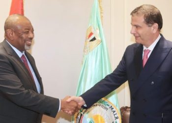 مصر ونيجيريا يبحثان سبل تعزيز التعاون في المجالات الزراعية المختلفة