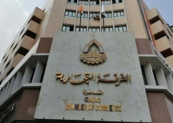 رئيس شعبة المستوردين: التسعير العادل ضرورة لحماية المجتمع أثناء الأزمات