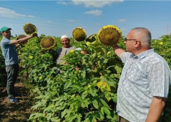 الزراعة تنفذ 468 نشاطًا إرشاديًا في أسبوع.. و 7000 مزارع مستفيد