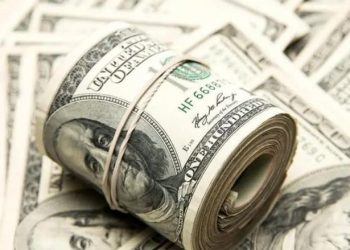 استقرار سعر الدولار مقابل الجنيه المصري اليوم