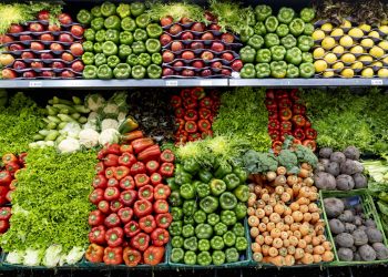 مصر تصدر 2.11 مليون طن موالح بـ1.09 مليار دولار وتتفوق على باقي الصادرات الزراعية