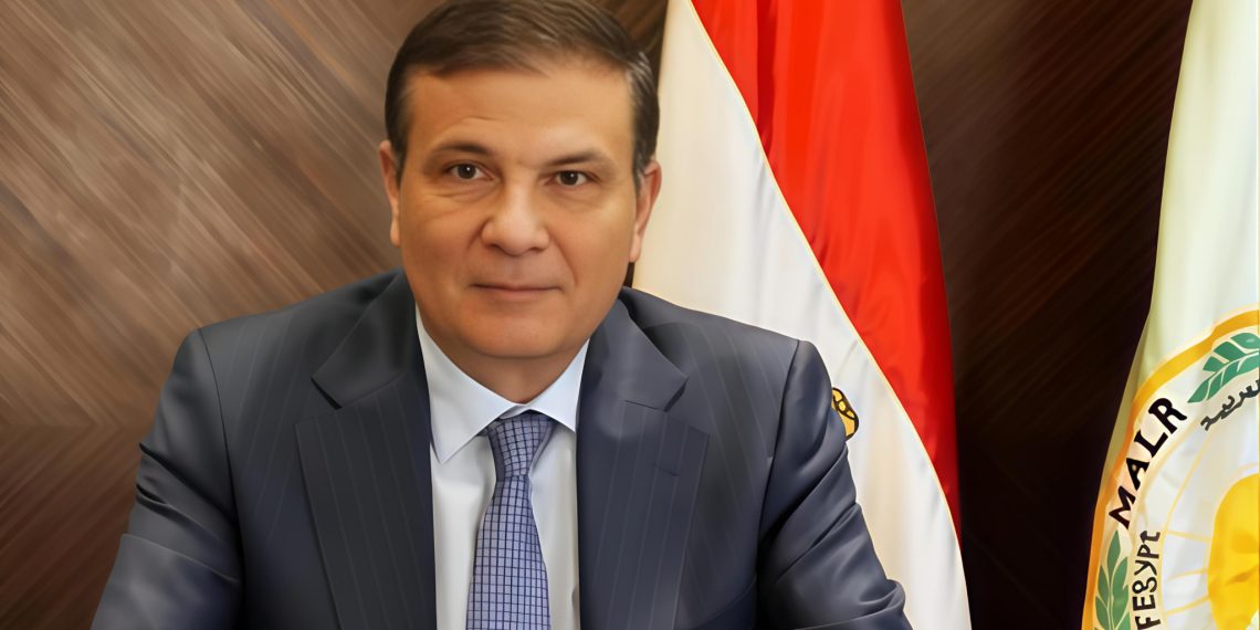 25 ألف حقل إرشادي ضمن خطة وزارة الزراعة لزيادة إنتاجية القمح