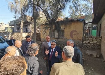 في ذكرى ميلادها.. محافظ الدقهلية يتابع تطوير موقع أم كلثوم