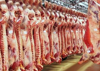 حملات مكثفة من وزارة الزراعة لضبط الأسواق وخفض الأسعار