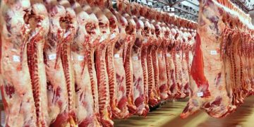 حملات مكثفة من وزارة الزراعة لضبط الأسواق وخفض الأسعار